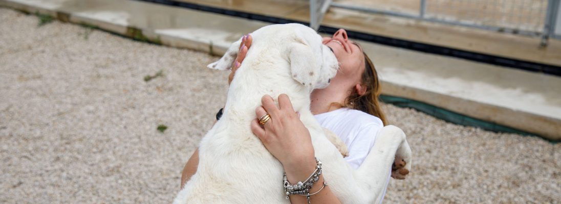 Al via la collaborazione con Empethy per l’adozione consapevole di cani e gatti