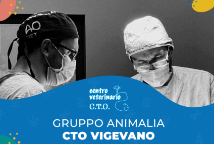 Centro Veterinario C.T.O.