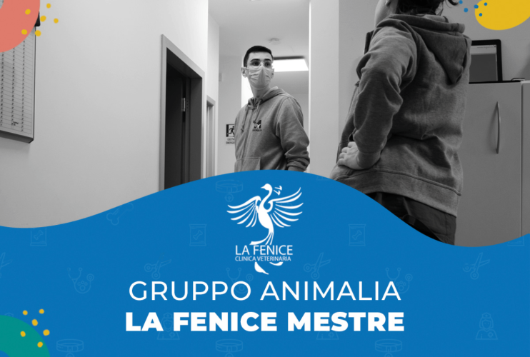 Benvenuti! La clinica “La Fenice” di Mestre si unisce al team