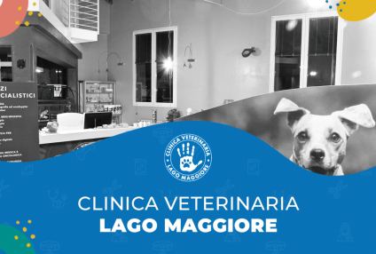 Clinica Veterinaria Lago Maggiore