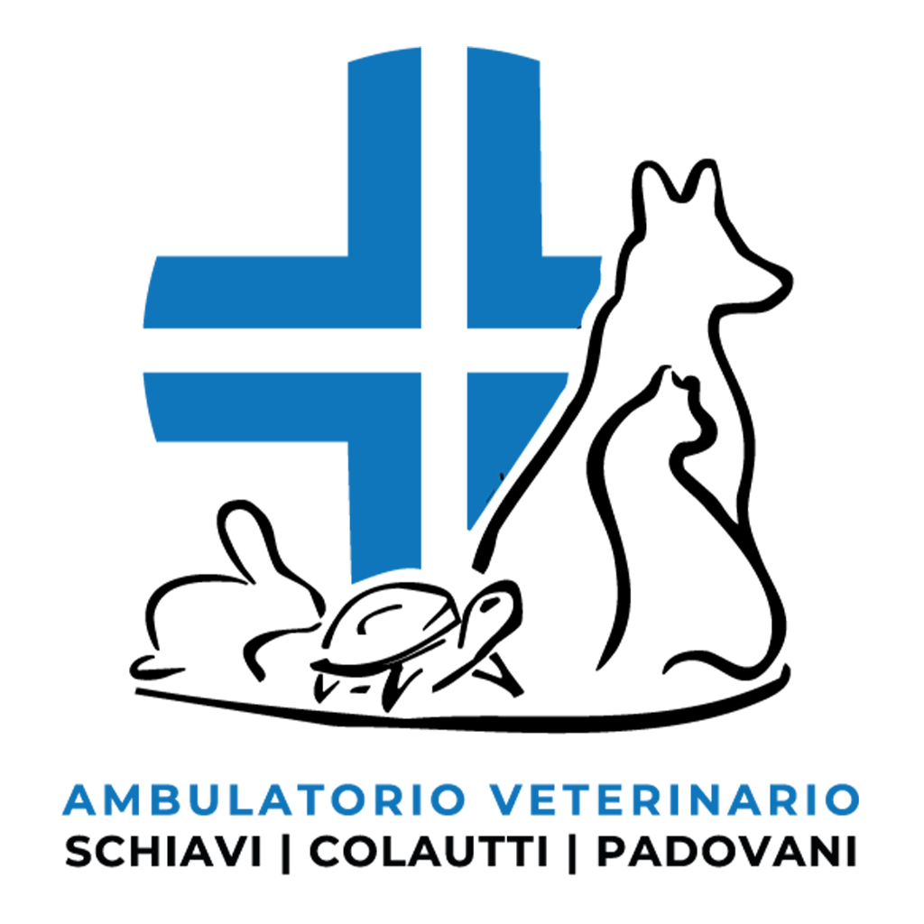 logo clinica