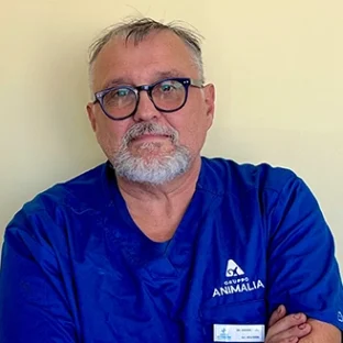 Andrea Carli