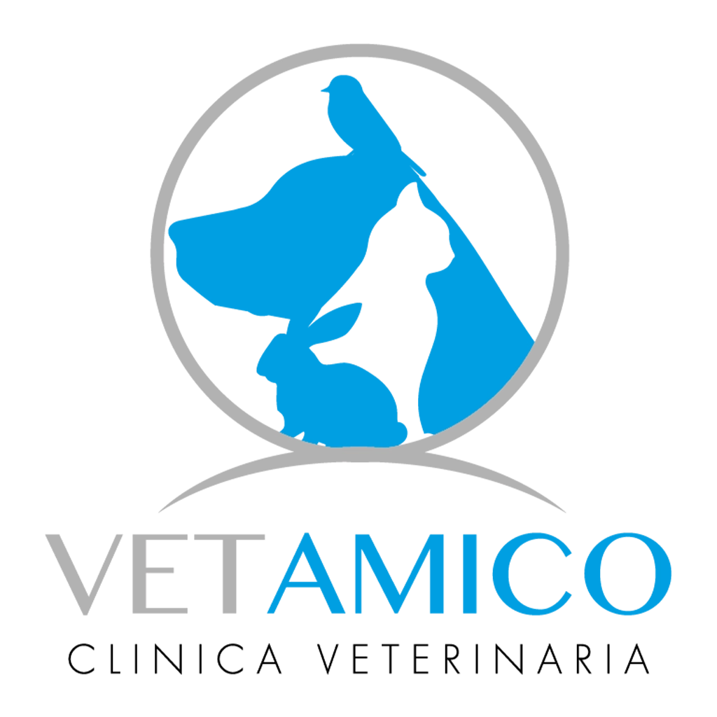 logo clinica