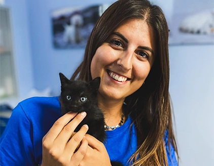 Ambientazione gatto Clinica Veterinaria Città del Marmo