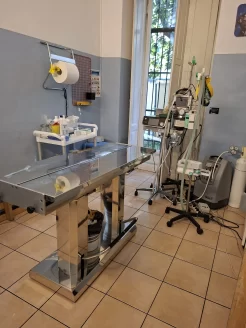 chirurgia Centro di Referenza Veterinario