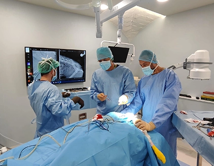 Chirurgia Clinica Veterinaria Croce Azzurra Empoli