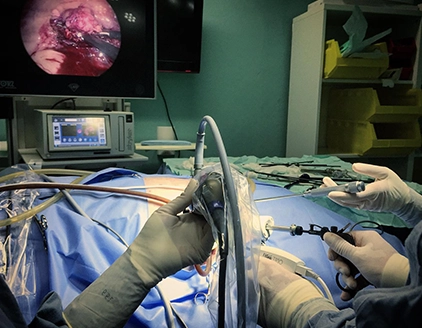 Chirurgia Clinica Veterinaria Dormelletto
