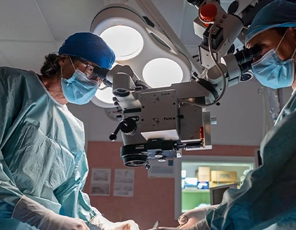 Chirurgia Clinica Veterinaria San Biagio Ancona