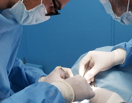 Chirurgia Clinica Veterinaria Verona VetCare
