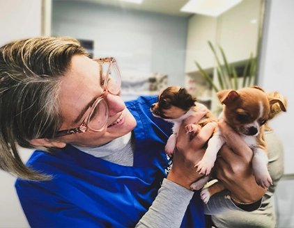 Cuccioli cane Clinica Veterinaria Città del Marmo