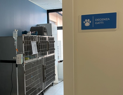 Degenza gatti Centro Veterinario CTO Vigevano