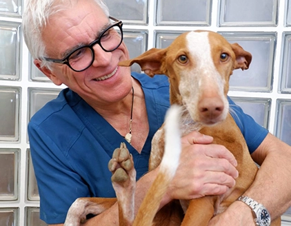 Dottore cane Clinica Veterinaria Verona VetCare