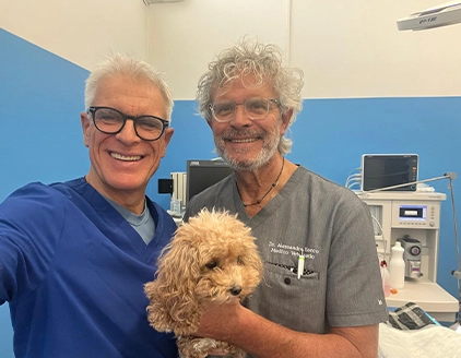 Dottori cane Clinica Veterinaria Verona VetCare