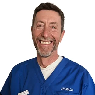 Luigi Bomben