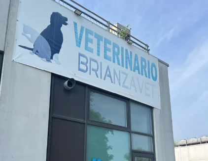 Esterni Ambulatorio Veterinario Brianzavet