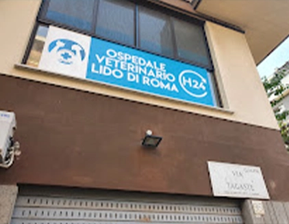 esterno insegna ospedale veterinario dottor lovet lido di roma