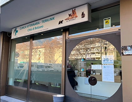 Esterno2 Clinica Veterinaria Bolzano