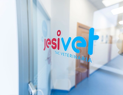 Interno porta Centro Diagnostico Veterinario JesiVet