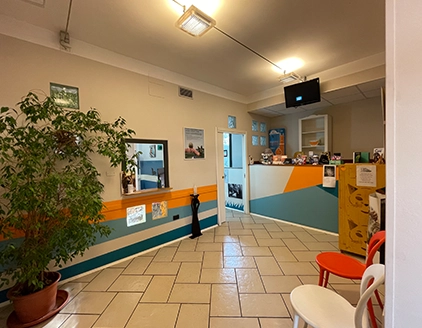 Interno Poliambulatorio Veterinario Argentina Taggia
