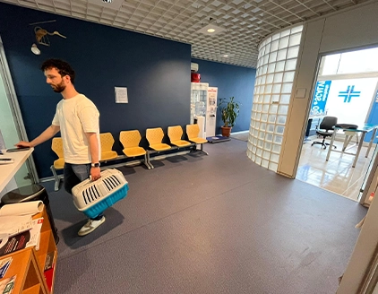 Interno reception Clinica Veterinaria Verona VetCare