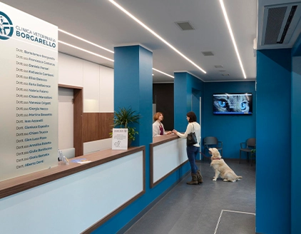 Interno ricevimento Clinica Veterinaria Borgarello Moncalieri