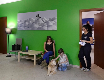 Interno sala attesa cane Ambulatorio Veterinario Borgarello Santena