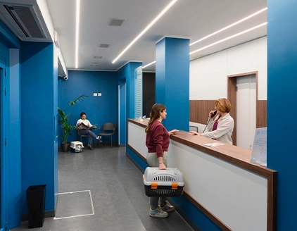 Interno sala attesa Clinica Veterinaria Borgarello Moncalieri