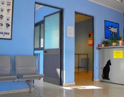 Interno sala attesa Clinica Veterinaria Grosseto Nord