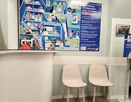 interno sala d'attesa ospedale veterinaria dottor lovet lido di roma