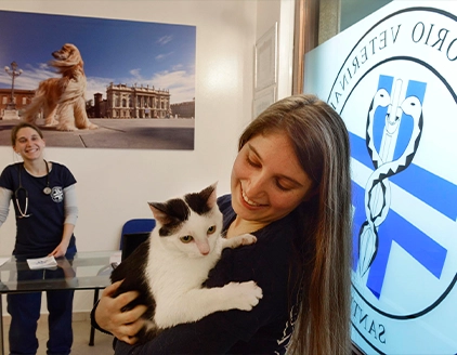 Interno staff gatto Ambulatorio Veterinario Borgarello Santena