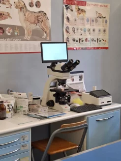 laboratorio analisi Centro di Referenza Veterinario
