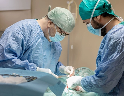 Medicina Generale Centro Veterinario Einaudi Bari