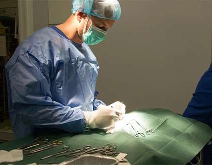 Operazione clinica Clinica Veterinaria Bolzano