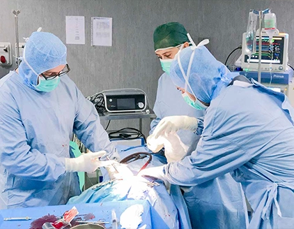 Operazione ortopedia Clinica Veterinaria San Giorgio Reggio Calabria
