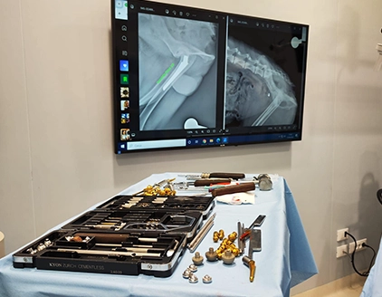 Ortopedia Clinica Veterinaria Croce Azzurra Empoli