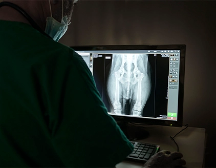 Radiografia Clinica Veterinaria PetCare Bologna
