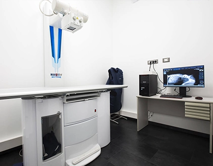 Radiologia Clinica Veterinaria Neur On Scan Catania