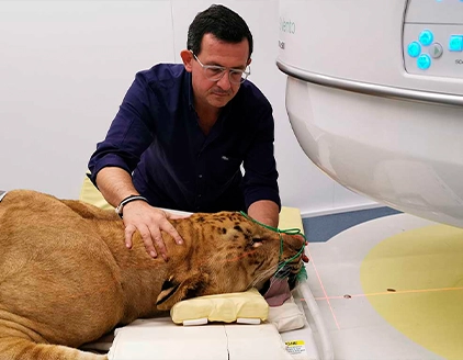 Risonanza magnetica Clinica Veterinaria San Giorgio Reggio Calabria