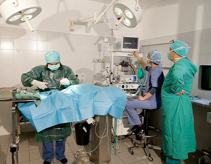 Sala chirurgica Clinica Veterinaria Madonna Di Rosa