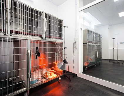 Sala degenza Clinica Veterinaria Neur On Scan Catania