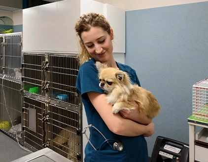 Sala degenza Clinica Veterinaria Borgarello Moncalieri