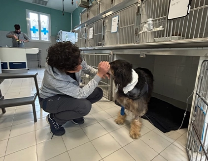 Sala degenza Clinica Veterinaria Dormelletto