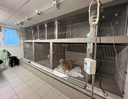 Sala degenza Clinica Veterinaria Madonna Di Rosa