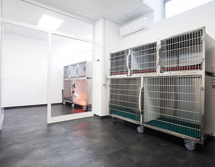 Sala degenza Clinica Veterinaria Neur On Scan Catania
