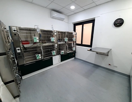 Sala Degenza Clinica Veterinaria Primavera Palermo