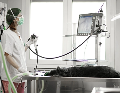 Sala operatoria Clinica Veterinaria PetCare Bologna