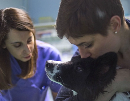 Staff Cane Ambulatorio Veterinario Schiavi Colautti Padovani Udine