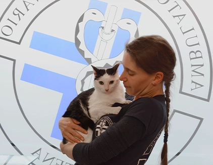 Staff gatto Ambulatorio Veterinario Borgarello Santena