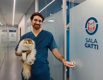 Staff gatto Clinica Veterinaria Borgarello Moncalieri