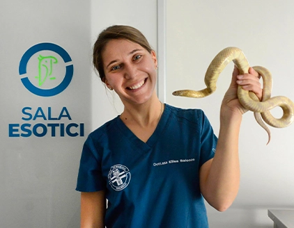 Staff serpente Clinica Veterinaria Borgarello Moncalieri